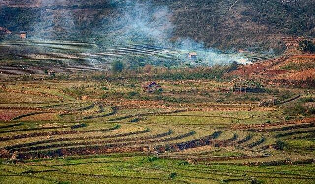 Another Top Honor for PM Modi: North American Nation to Award Highest Civilian Title – Jagran Josh