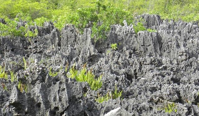 Harneys Enjoys Latin America Business Boom in the Cayman Islands – Law.com International