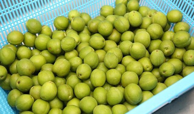 Opportunities for U.S. Agricultural Products in Guatemala – USDA Foreign Agricultural Service