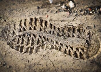 Mark Carney makes stance clear on Trump 51st state push: ‘America is not Canada’ – Washington Examiner