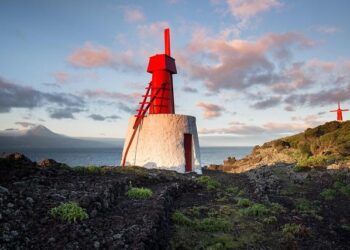 Jorge Fossati, the Peru head coach during 2024 Copa America – copaamerica.com