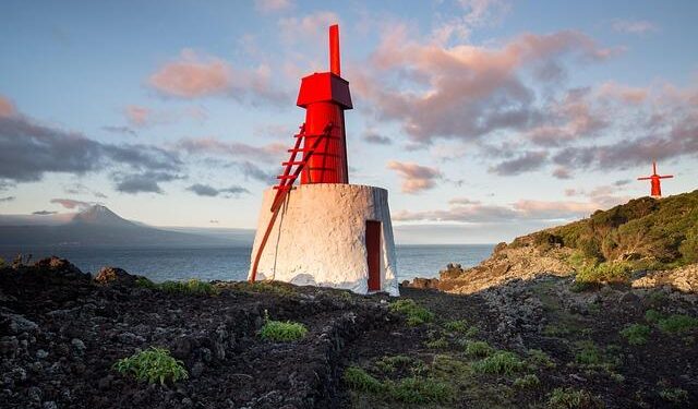 Jorge Fossati, the Peru head coach during 2024 Copa America – copaamerica.com
