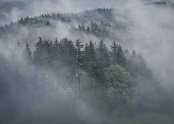 Drones Fuel Criminal Arms Race in Latin America – InSight Crime