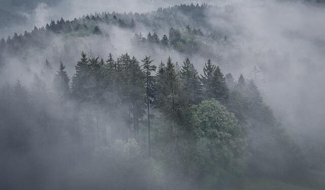 Drones Fuel Criminal Arms Race in Latin America – InSight Crime