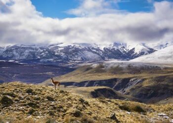 America can help Haiti restore order with an in-and-out mission – The Hill