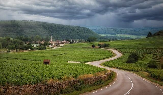 France’s longest border isn’t with neighbour in Europe – but a country in South America – Express