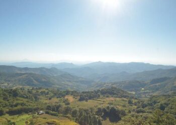 Ortega regime turns Nicaragua into gateway for irregular migration to the United States – EL PAÍS USA