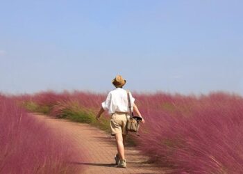 Despegar revolutionizes the tourism industry introducing the region’s first Generative AI Travel Assistant – Business Wire