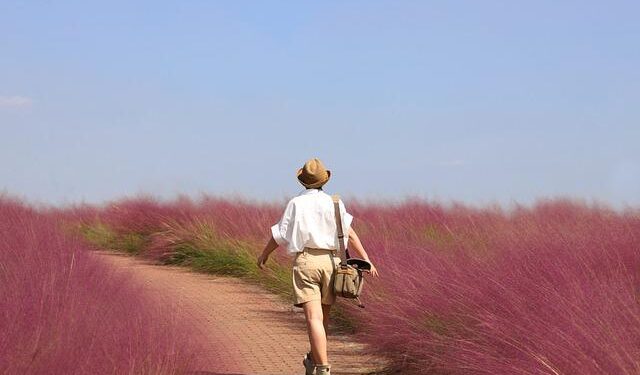 Despegar revolutionizes the tourism industry introducing the region’s first Generative AI Travel Assistant – Business Wire