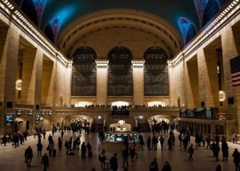 Central America and the Caribbean Price Bulletin, June 2024 – ReliefWeb