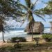 Brand Barbados splashed across Europe, America, Canada, Caribbean – Loop News Barbados