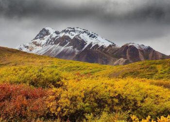 Authorities identify 10 people who died in Alaska plane crash – ABC News