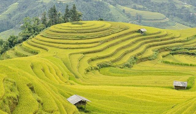 Vietnam’s top leader Lam to visit US, Cuba next week – Reuters