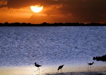 How Venezuela’s Threats Are Restructuring China-Guyana Relations – The Diplomat