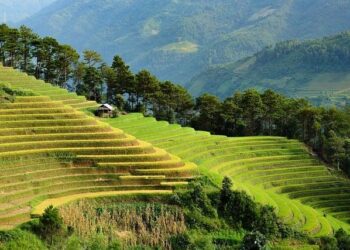 2025 Taste of Asia, A Celebration of Innovation and Growth: – GlobeNewswire