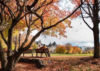 When does Canada play during Copa América 2024? Match dates and times – Home | Copa America CONMEBOL