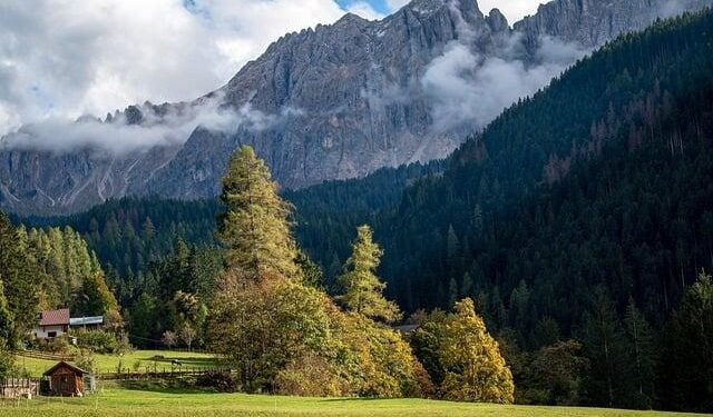 Building post-pandemic economic resilience by diversifying tourism: the case of Antigua and Barbuda, Saint Kitts and Nevis and Saint Lucia – cepal.org