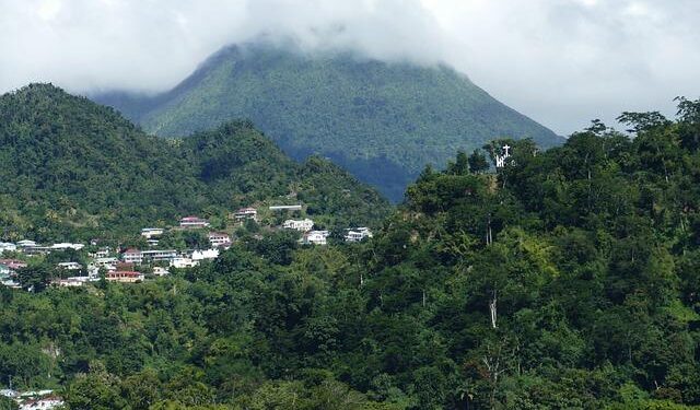 Dominica was the fastest growing economy in the entire Latin America and the Caribbean region – traveltradecaribbean.es