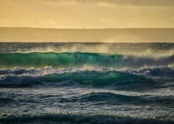 Western Union suspends money transfers to Cuba following U.S. sanctions – CBS Miami