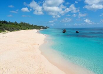 Brit announces appointment to lead Bermuda expansion – Insurance Business America