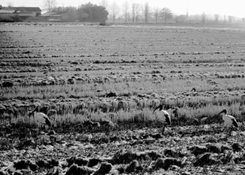 UCCS under investigation by US Department of Education for allegations of discrimination – KKTV