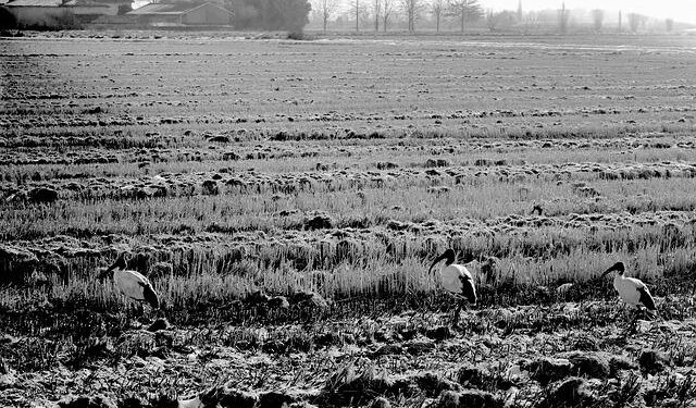 UCCS under investigation by US Department of Education for allegations of discrimination – KKTV