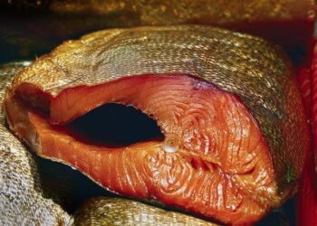 The invasion of Anguilla: Britain’s Bay of Piglets – TheArticle