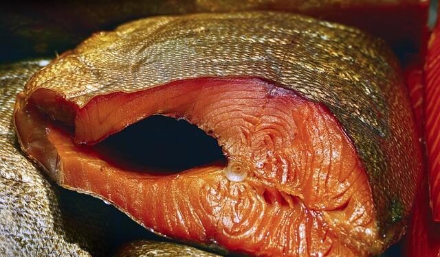 The invasion of Anguilla: Britain’s Bay of Piglets – TheArticle