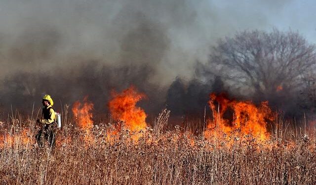Wildfires cause huge loss of life in Chile amid heatwaves in South America – World Meteorological Organization WMO