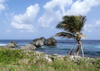 Grenada estimates damages from Hurricane Beryl at up to a third of economy – Reuters Canada