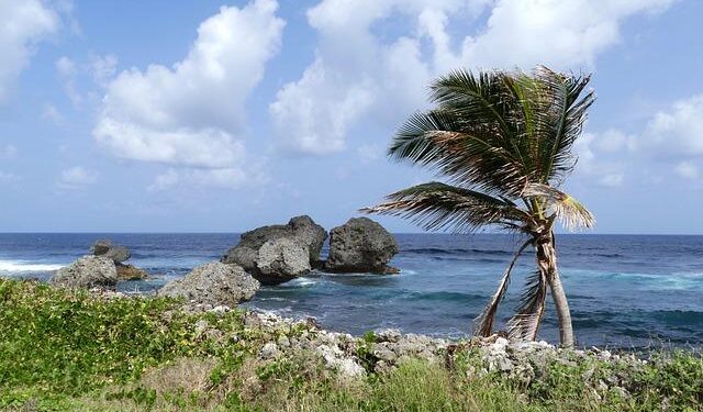 Grenada estimates damages from Hurricane Beryl at up to a third of economy – Reuters Canada