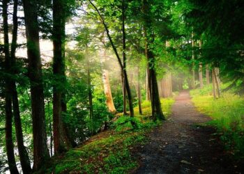 George Bell, the tallest man in America and Portsmouth native, passes away – 13newsnow.com WVEC