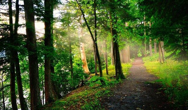 George Bell, the tallest man in America and Portsmouth native, passes away – 13newsnow.com WVEC