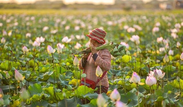 Bolivian farmers pack up and flee as wildfires burn woodland – Reuters Canada