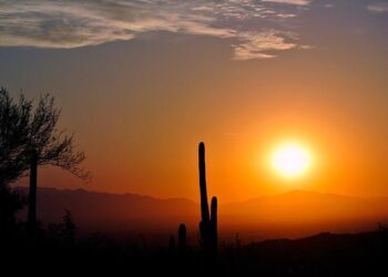 Supreme Court limits Arizona voting without citizenship proof – BBC.com