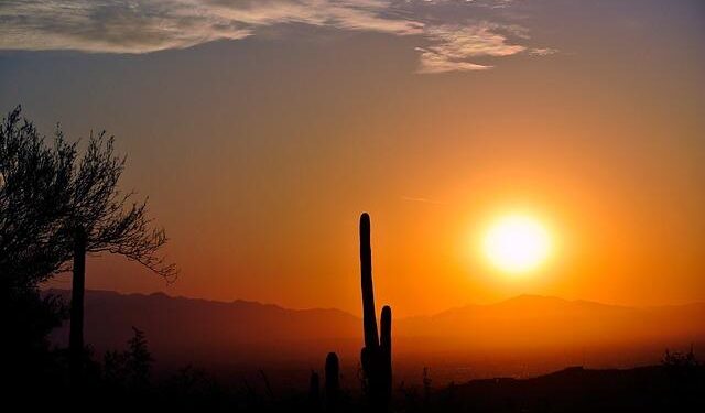 Supreme Court limits Arizona voting without citizenship proof – BBC.com