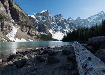 Canada enters Concacaf Nations League finals with a new level of confidence – Soccer America