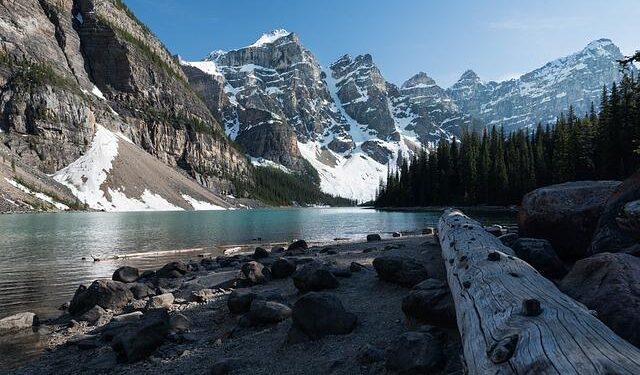 Canada enters Concacaf Nations League finals with a new level of confidence – Soccer America