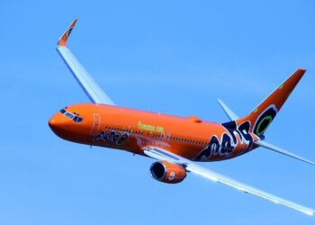 Routine Landing Turns Into a Nightmare After American Airlines B737 MAX 8 Flight Blows Tires On Runway in St. Vincent – TheTravel