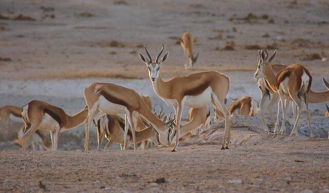 Snapshots: How the climate crisis is hurting people in Honduras – The New Humanitarian