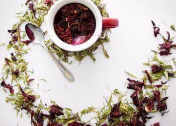 10 of the best things to do in Jamaica – The Independent