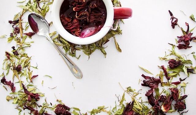 10 of the best things to do in Jamaica – The Independent