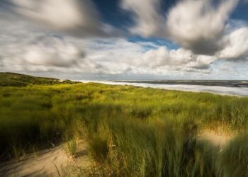 Hurricane Beryl: Deadly storm moves towards Jamaica – BBC.com