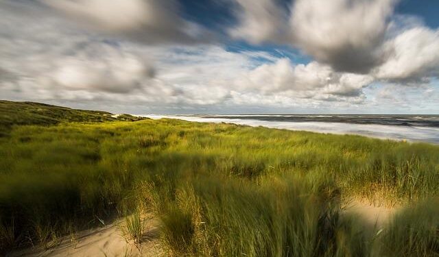 Hurricane Beryl: Deadly storm moves towards Jamaica – BBC.com
