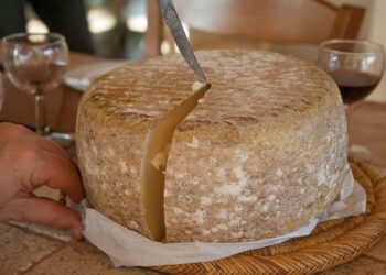 Power cut leaves most of Chile without electricity for several hours – Latin America Reports