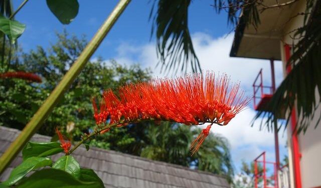 Equinor exits Suriname – report – Upstream Online