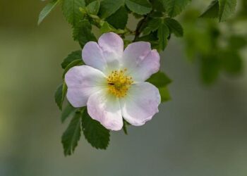 Brian Moynihan says consumers are in a ‘classic’ situation of worrying about money but continuing to spend – Fortune