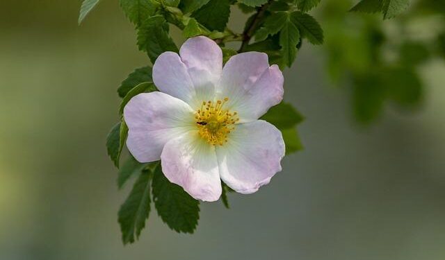 Brian Moynihan says consumers are in a ‘classic’ situation of worrying about money but continuing to spend – Fortune