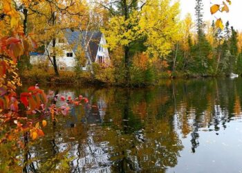 Canada ‘never, ever, will be part of America’: Next prime minister pushes back on Trump – USA TODAY