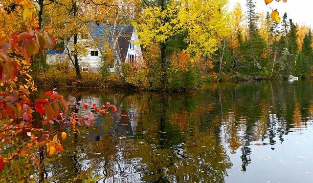 Canada ‘never, ever, will be part of America’: Next prime minister pushes back on Trump – USA TODAY